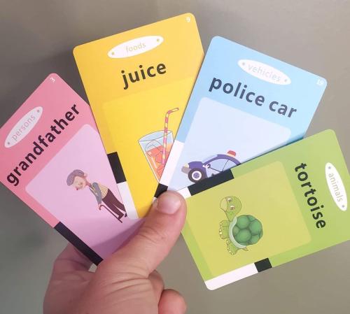 Rechargeable Educational Talking Flash Cards (224 Cards)